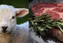 Prețuri ridicate la miel și puține puncte de sacrificare autorizate în județul Olt