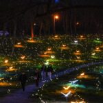 WhatsApp Image 2026-04-07 at 08.32.10 (2)