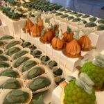 WhatsApp Image 2026-04-08 at 00.24.48