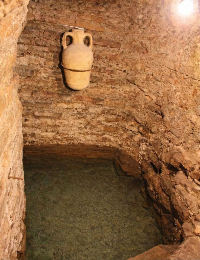 WhatsApp Image 2026-04-10 at 12.17.24