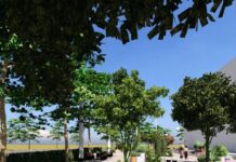 Piața „STEAUA ROȘIE” se va închide pentru modernizare. Pentru câte luni sau ani?!