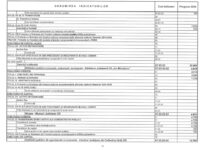 SĂPTĂMÂNA VIITOARE SE APROBĂ BUGETUL CONSILIULUI JUDEȚEAN OLT. MUZEUL JUDEȚEAN OLT ARE ALOCAT UN SFERT DIN BUGETUL SPITALULUI DE URGENȚĂ SLATINA!