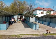 PIATRA-OLT ARE NEVOIE DE O PIAȚĂ ȘI UN TÂRG SĂPTĂMÂNAL MODERNE, SPECTACULOASE!