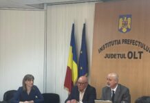 Dialog social la Prefectura Olt pe tema tichetelor pentru activități casnice