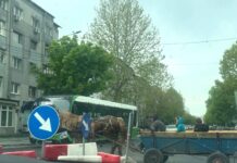 Slatina, 2026: un vehicul din altă epocă apare în traficul urban modern