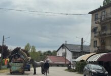 „ȚIGĂNIA” DE AZI DIN COMUNA STOICĂNEȘTI !