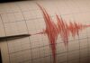 Mișcare seismică în România în dimineața de joi: ce au arătat datele specialiștilor
