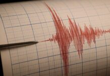Mișcare seismică în România în dimineața de joi: ce au arătat datele specialiștilor