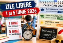 Ultimele săptămâni de școală pentru elevi: când încep examenele și vacanța