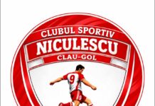 ÎN SLATINA A FOST ÎNFIINȚAT UN NOU CLUB SPORTIV DE FOTBAL: NICULESCU „ CLAU-GOL”