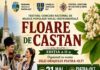 Tinerii interpreți de muzică populară urcă pe scenă la Zilele Orașului Piatra Olt