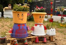 Slatina: proiect de reciclare creativă la Școala „Ștefan Protopopescu”