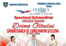 Spectacol folcloric în Văleni: ansambluri, soliști și dansuri tradiționale în Parcul Comunei