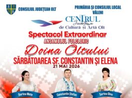 Spectacol folcloric în Văleni: ansambluri, soliști și dansuri tradiționale în Parcul Comunei