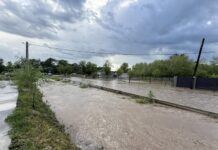 Alertă în Olt: curți și case inundate