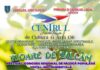 Festivalul „Floare de Salcâm” readuce muzica populară în prim-plan la Urzica