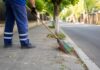 Curățenia spațiilor din jurul proprietăților, responsabilitate obligatorie pentru locuitori