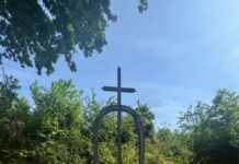 Sub stejarul uitării: destinul tragic al generalului Livius Teiușanu, primul atașat militar român la Washington
