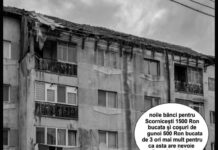 PENTRU PRIMARUL DIN SCORNICEȘTI, O FOTOGRAFIE „ÎN ALB-NEGRU” CARE FACE CÂT O MIE DE CUVINTE!