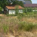 WhatsApp Image 2026-05-25 at 13.45.52 (2)