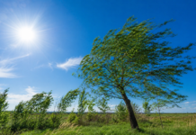 🌤️ VREME SCHIMBĂTOARE ÎN OLT ȘI SLATINA. COD GALBEN DE VÂNT ÎN ACESTE ZILE