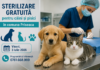 Sterilizări gratuite pentru câini și pisici în comuna Priseaca