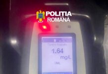 Alcool la volan și conducere fără permis în Potcoava, județul Olt