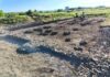 Descoperire arheologică importantă în Oltenia. Ce au găsit specialiștii la Castrul roman de la Răcari