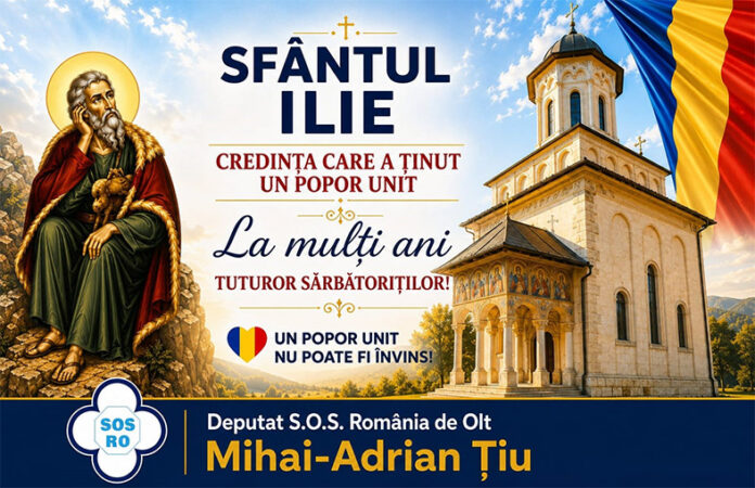 net-mihai-tiu-sf-ilie