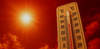 🔴 Cod Roșu de caniculă în județul Olt! Temperaturi sufocante în Slatina și în tot județul