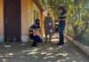 Canicula, pericol pentru animale. Polițiștii din Olt le reamintesc proprietarilor ce obligații au