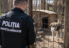 Poliția Animalelor, intervenție la Icoana. Un bărbat a fost amendat cu 12.000 de lei