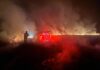 Incendiu de vegetație în zona Sterpu