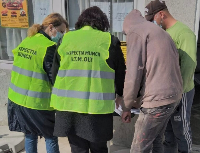 Verificări în mai multe domenii de activitate din Olt