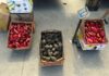 Legume la jumătate de preț, dar marfa rămâne în lăzi. Producătorii din satele Oltului se plâng că nu au cui să vândă