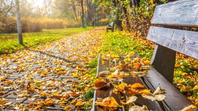 prognoza-meteo-pentru-urmatoarele-patru-saptamani-cum-va-fi-vremea-pana-la-jumatatea-lunii-octombrie-1006637